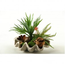 D W Silks Staghorn Fern Mixed with Succulents in Resin Clam Shell DWS1853